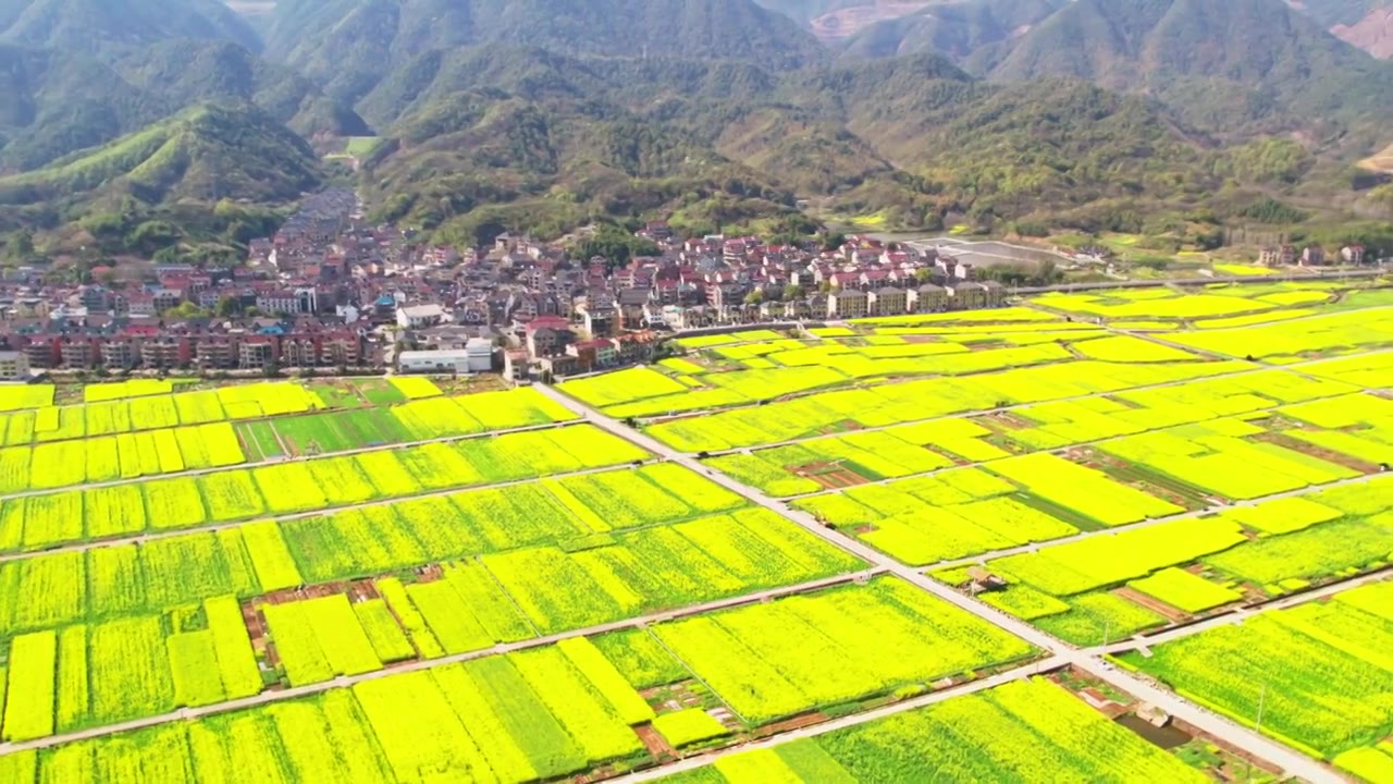 杭州富阳富春江边包家淇村春天乡村田园油菜花自然清新治愈风景视频素材