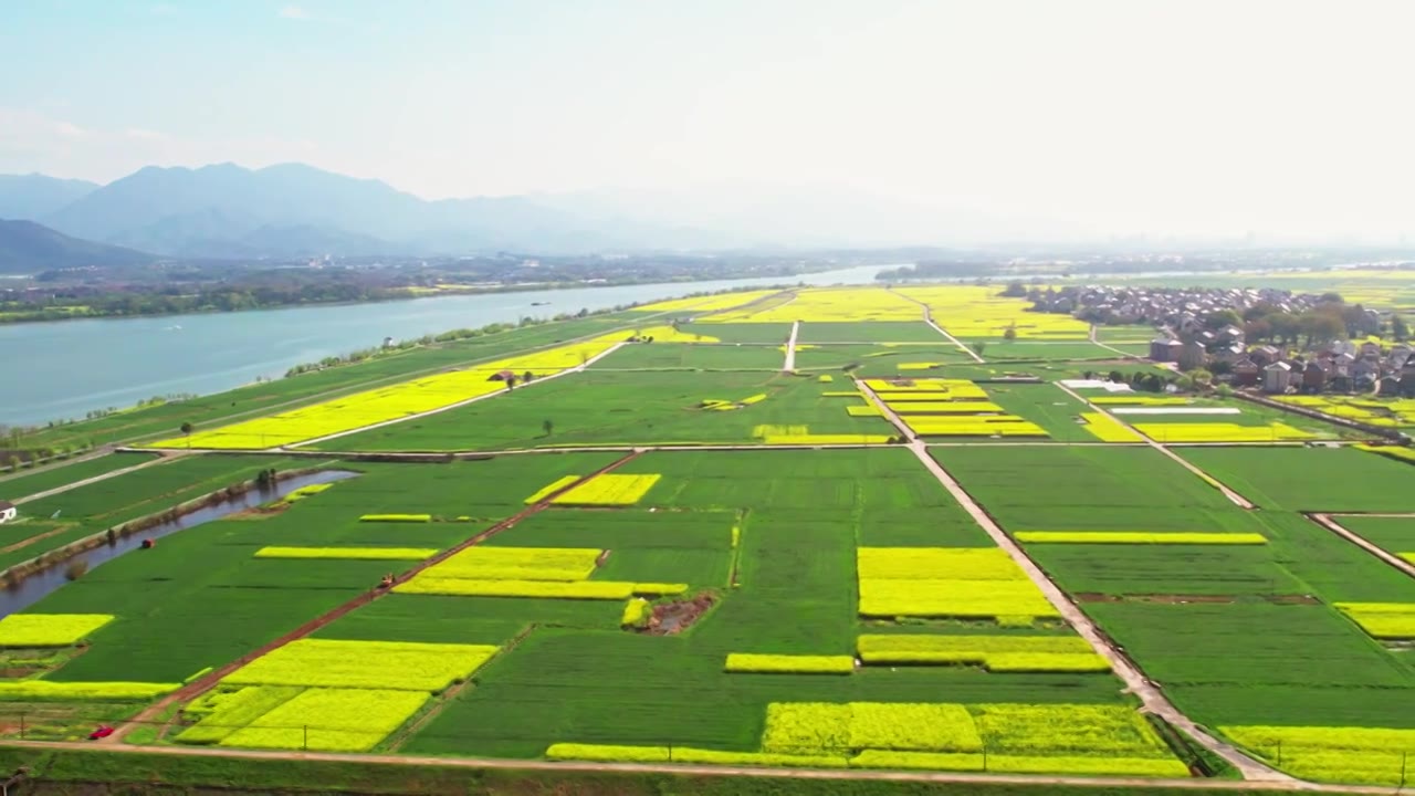 杭州富阳富春江边包家淇村春天乡村田园油菜花自然清新治愈风景视频素材