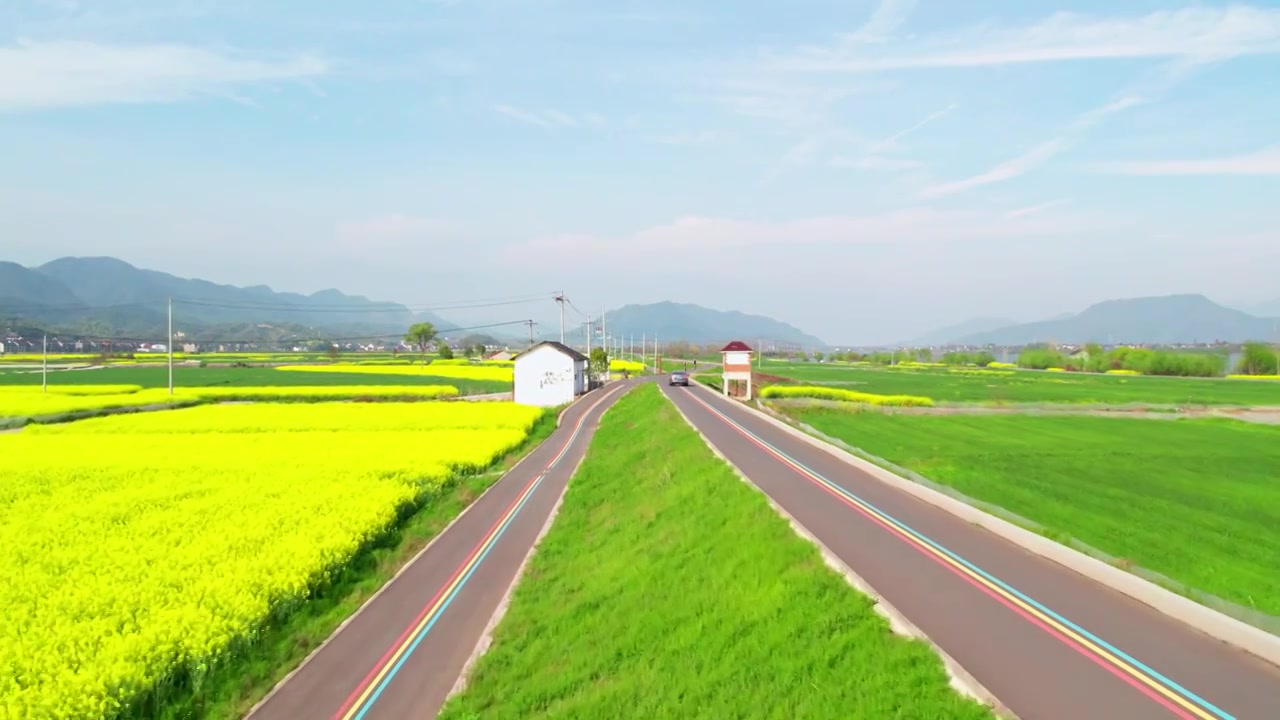 杭州富阳富春江边包家淇村春天乡村田园油菜花自然清新治愈风景视频素材