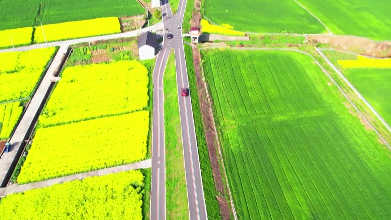 杭州富阳富春江边包家淇村春天乡村田园油菜花自然清新治愈风景视频素材