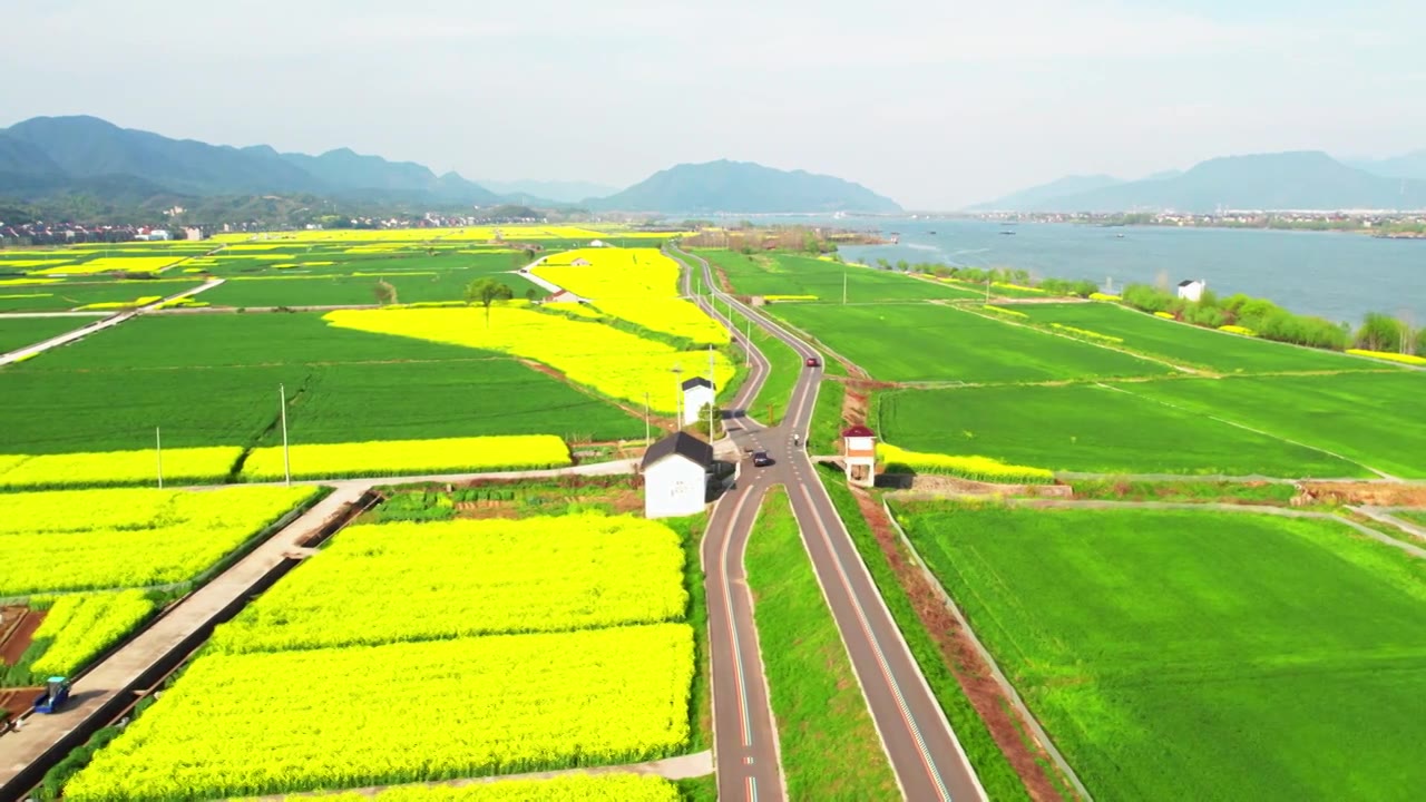 杭州富阳富春江边包家淇村春天乡村田园油菜花自然清新治愈风景视频素材