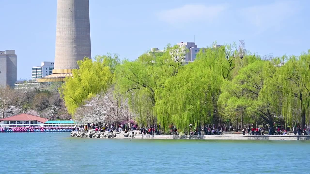 北京春天玉渊潭公园湖面蓝天柳树风光视频素材