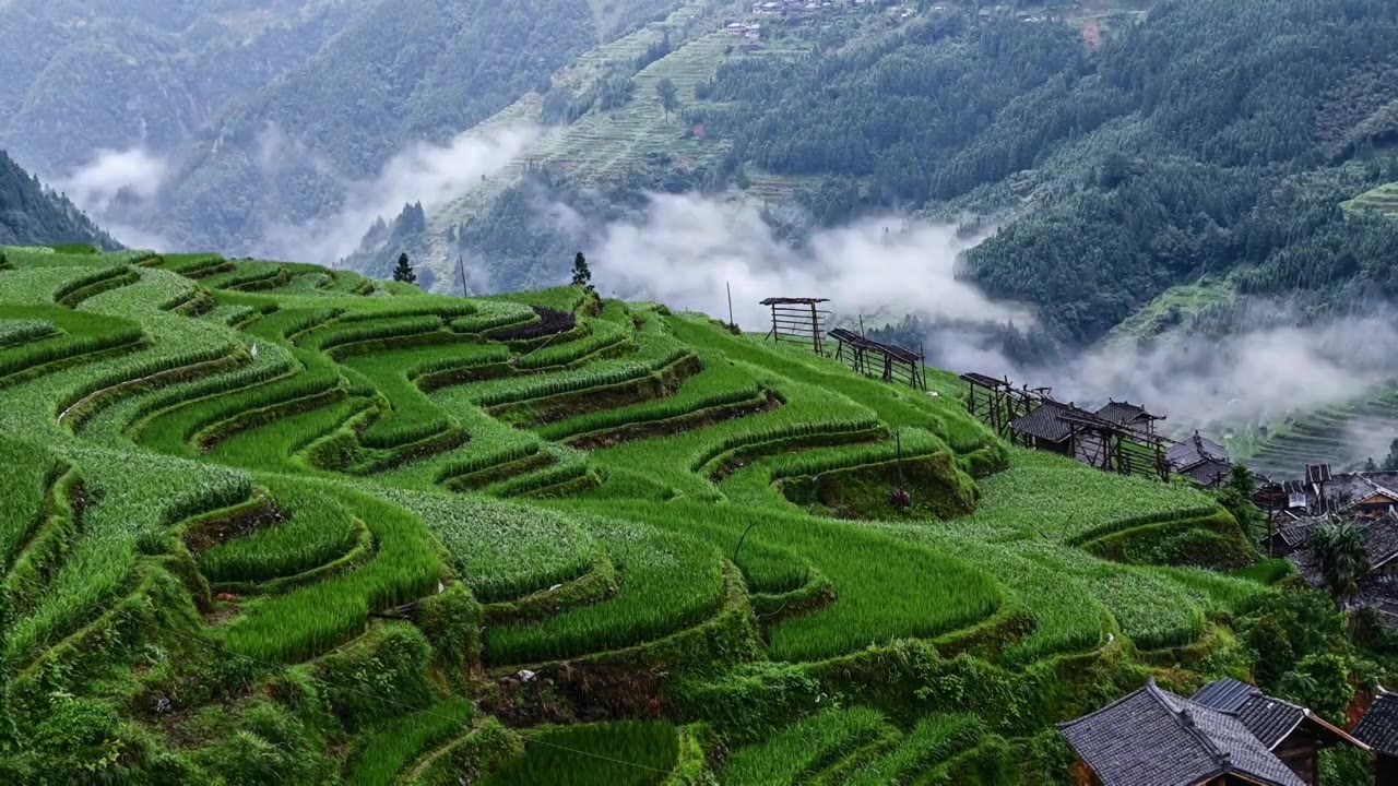 晨曦中的加榜梯田，云雾缭绕，绿意盎然，生机勃勃，美如仙境，仿佛置身于世外桃源。视频下载