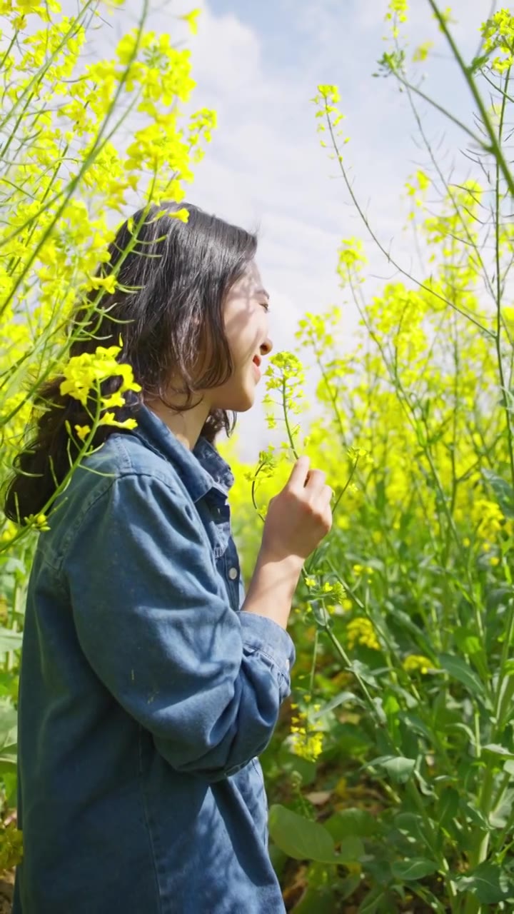 油菜花海里赏花的美女特写春天阳光温暖视频素材