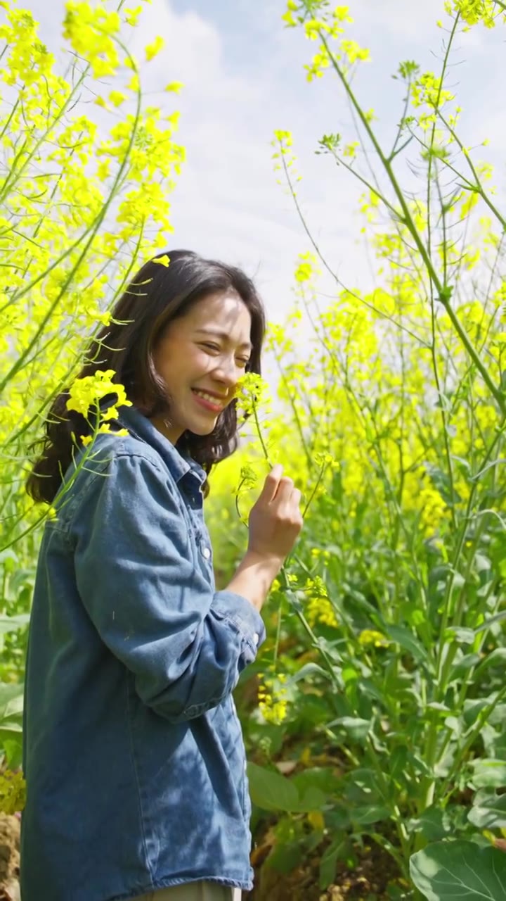 油菜花海里赏花的美女特写春天阳光温暖视频素材