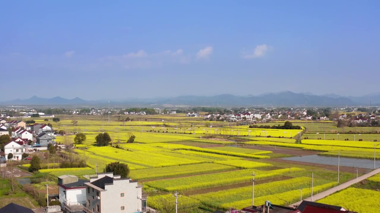 安徽泾县春季油菜花风光视频素材