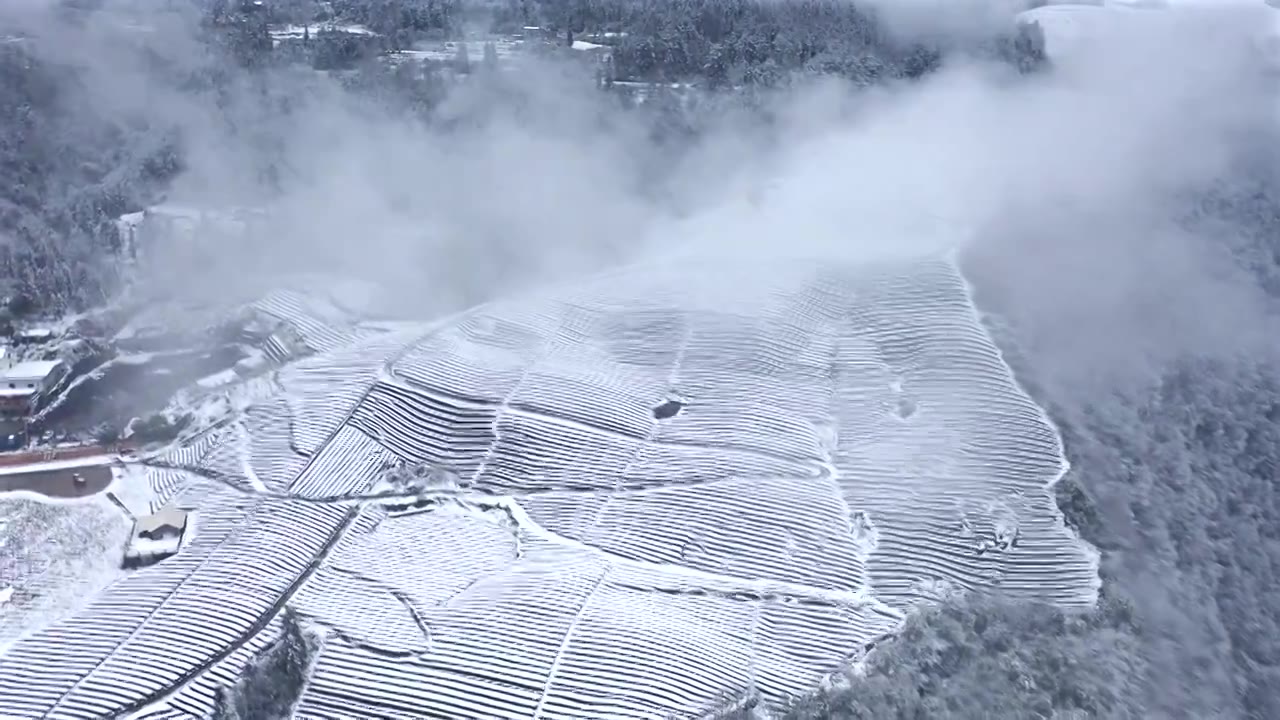 湖北省恩施州森林高山雪后航拍视频素材