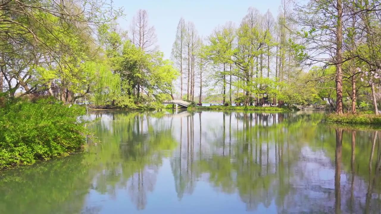 江南杭州西湖春天自然清新治愈风景视频素材