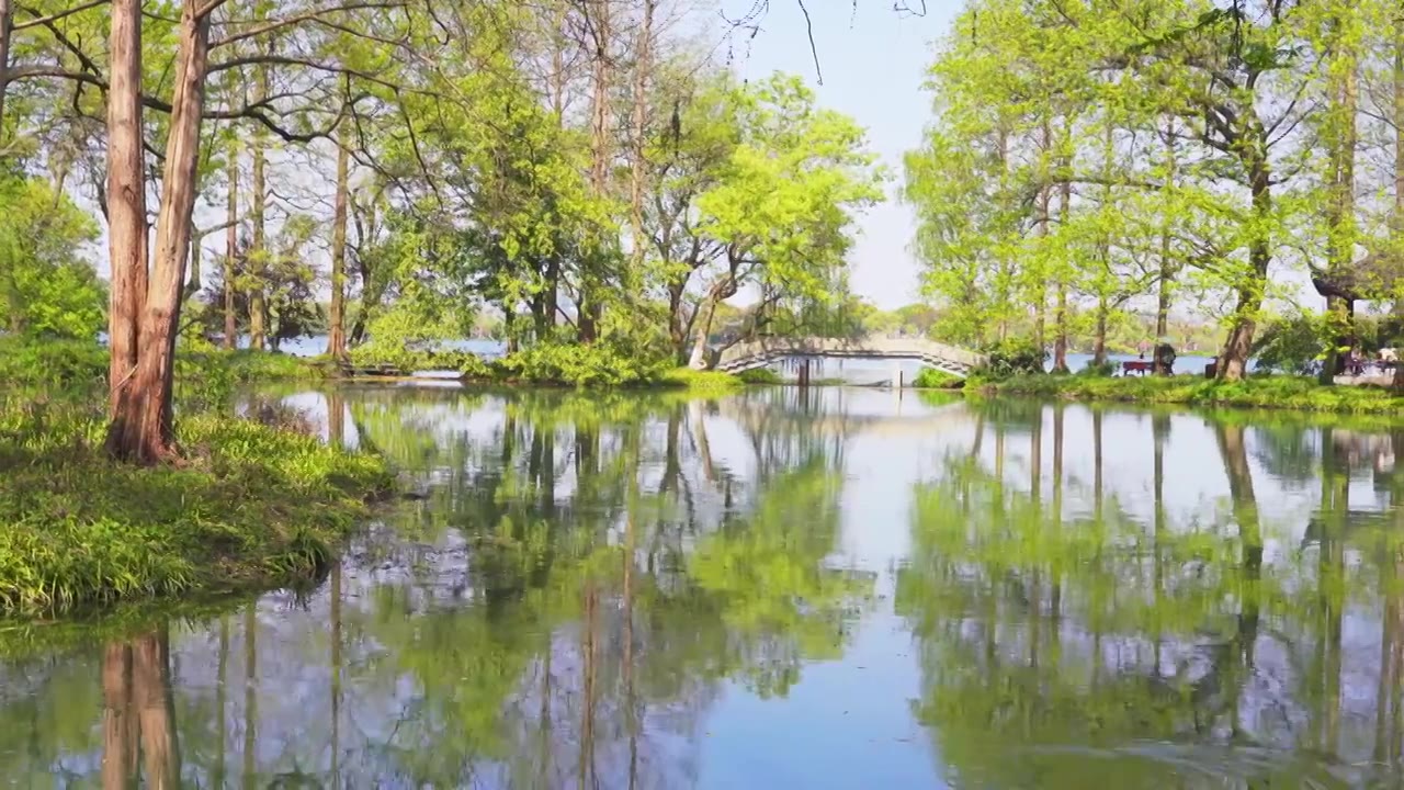 江南杭州西湖春天自然清新治愈风景视频素材