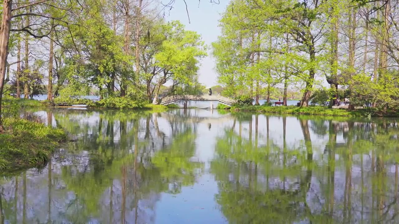 江南杭州西湖春天自然清新治愈风景视频素材