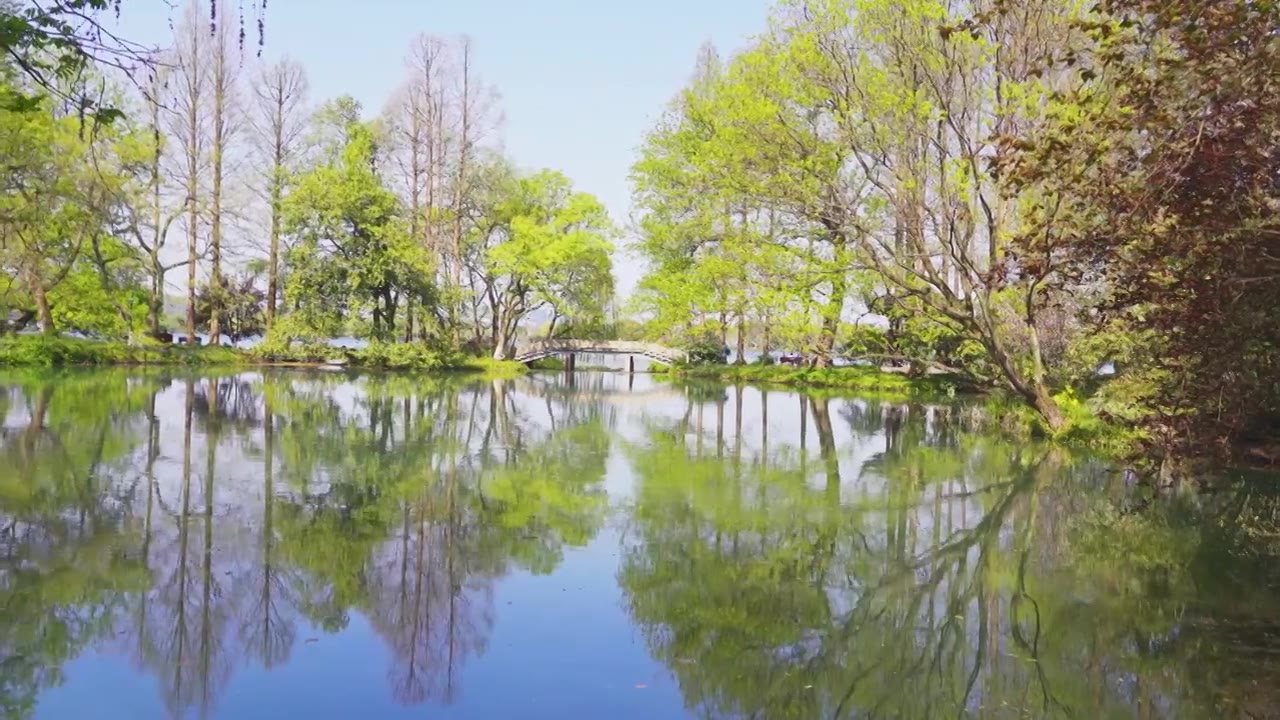 江南杭州西湖春天自然清新治愈风景视频素材