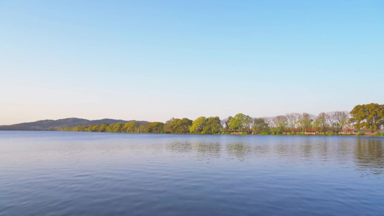 江南杭州西湖春天自然清新治愈风景视频素材