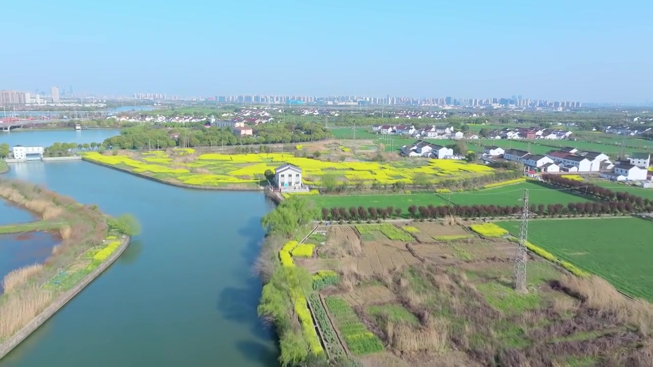 苏州相城春天里的新农村风景航拍视频素材