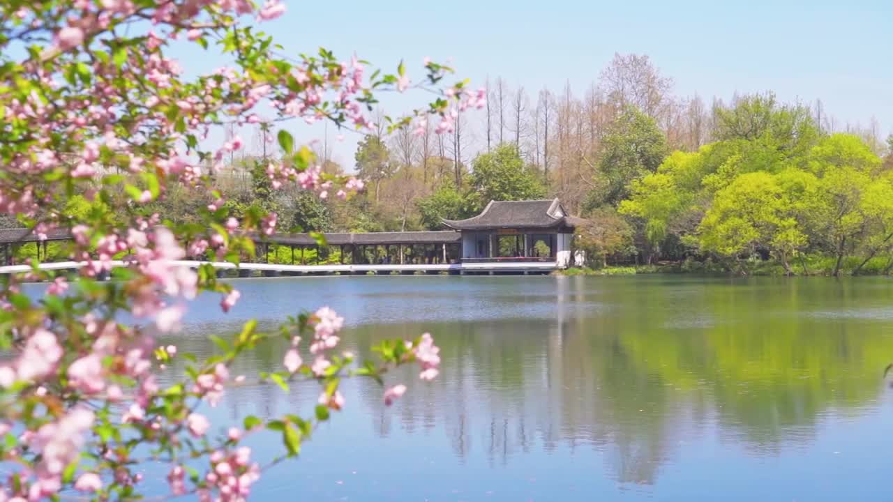 【合集】杭州西湖春天自然治愈风景慢镜视频素材