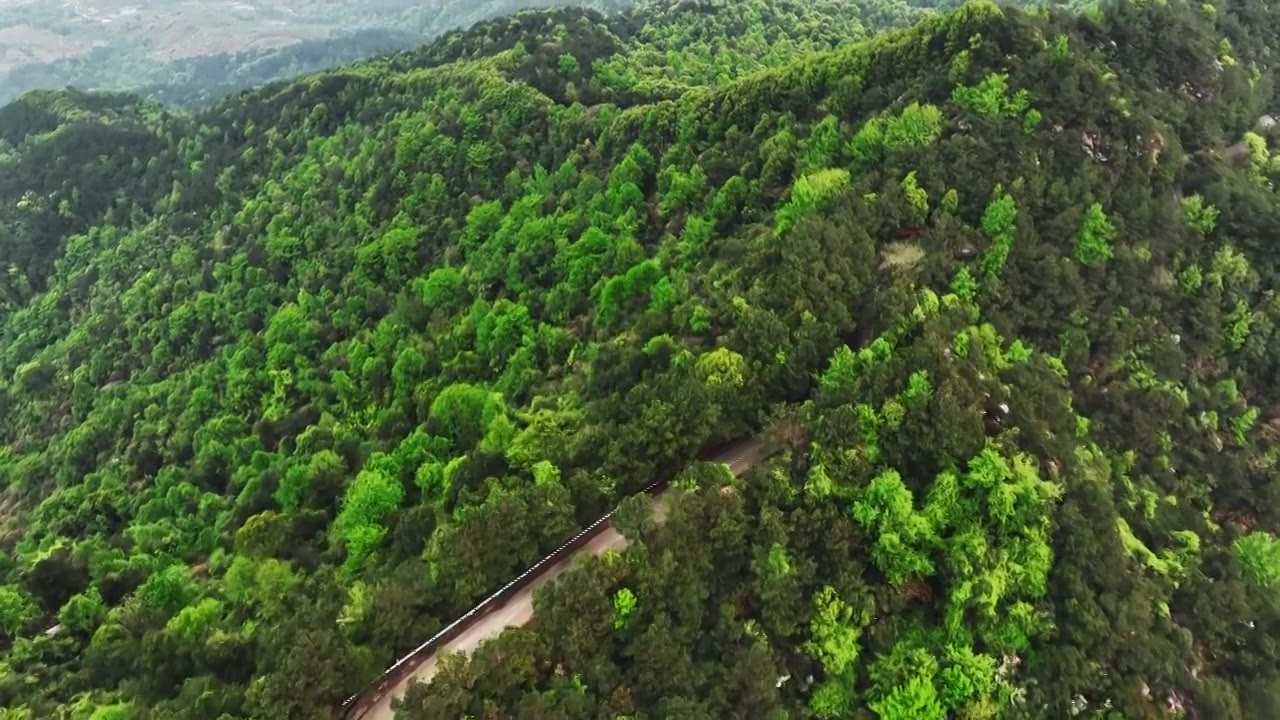 春天阳光下桂林高山上盛开的杜鹃花和盘山公路上的汽车视频素材