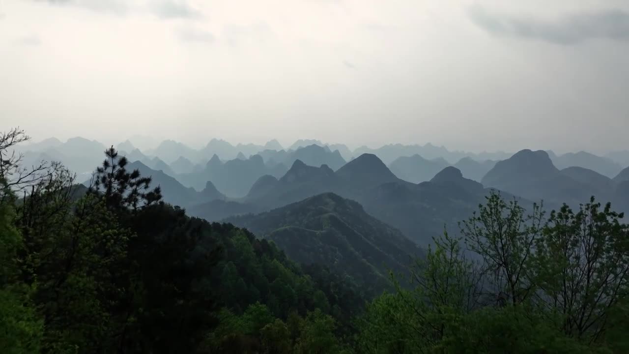 春天阳光下桂林高山上茂盛的植被视频素材