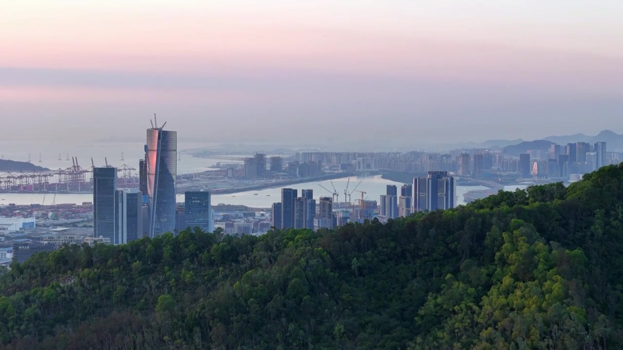 从南山上方航拍深圳前海片区全景 晴天几傍晚视频下载