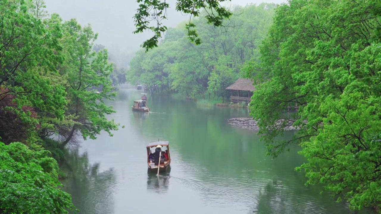 江南杭州西湖浴鹄湾春天阴雨天春雨中的手划船自然治愈风景视频素材