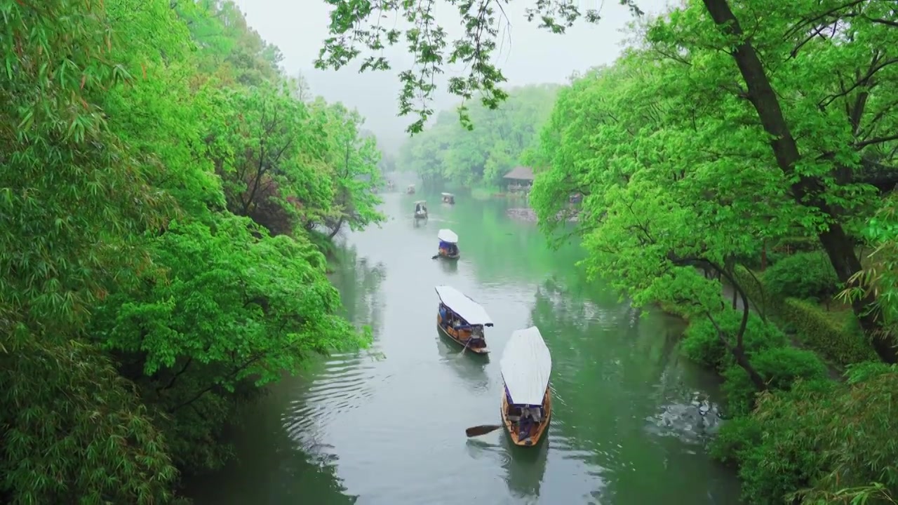 江南杭州西湖浴鹄湾春天阴雨天春雨中的手划船自然治愈风景视频素材