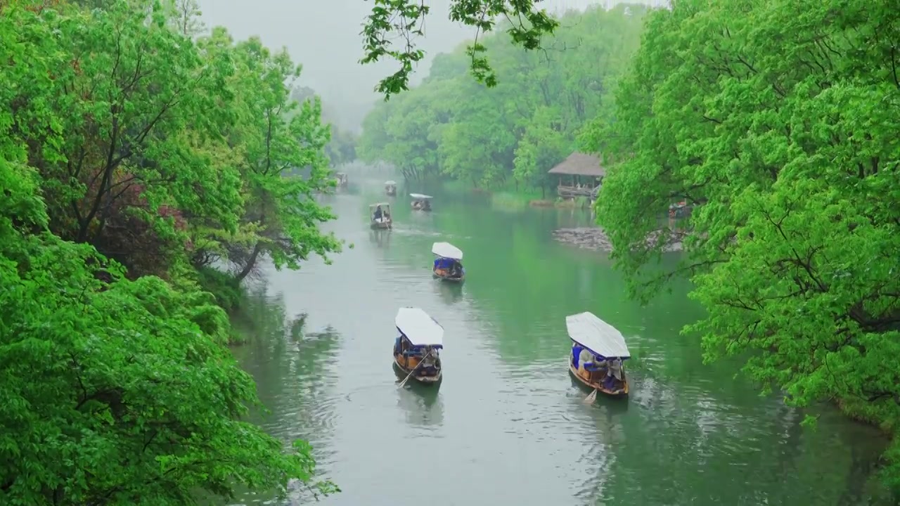 江南杭州西湖浴鹄湾春天阴雨天春雨中的手划船自然治愈风景视频素材