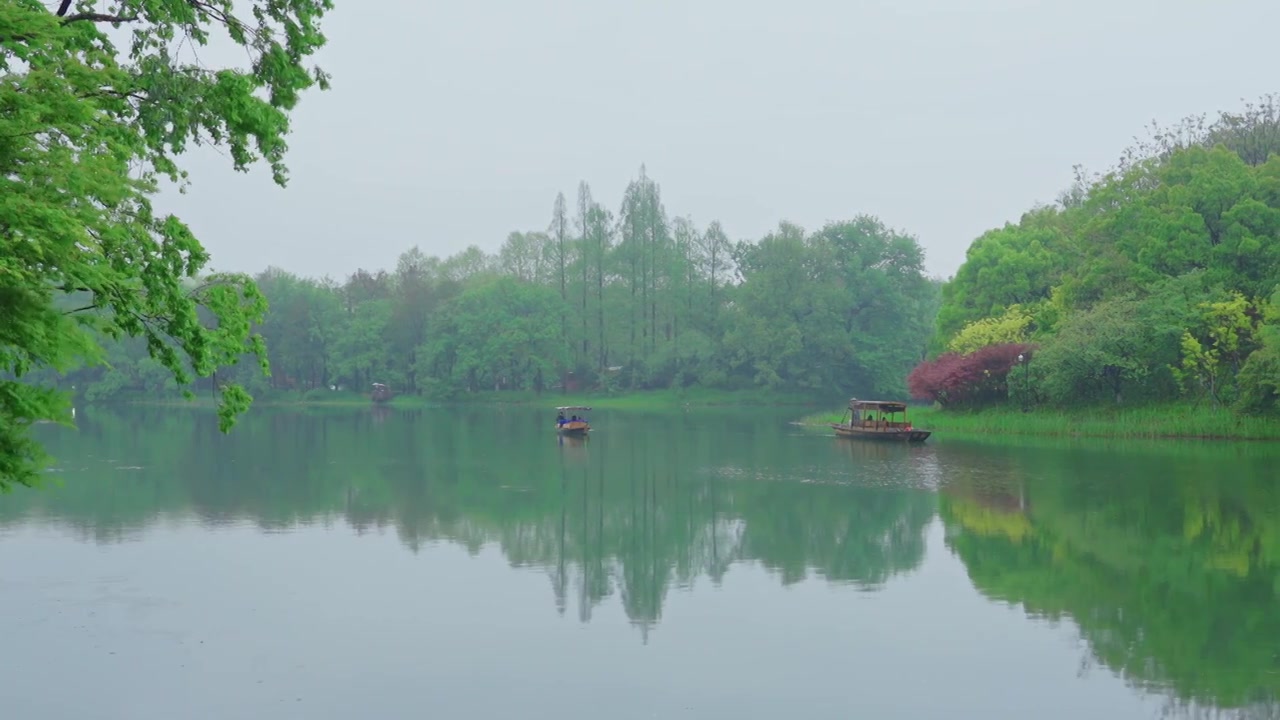 江南杭州西湖浴鹄湾春天阴雨天春雨中的手划船自然治愈风景视频素材