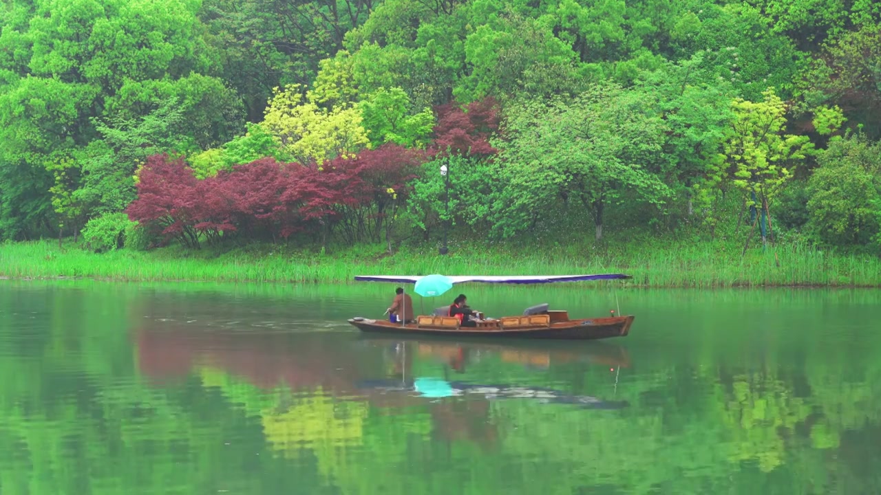 江南杭州西湖浴鹄湾春天阴雨天春雨中的手划船自然治愈风景视频素材