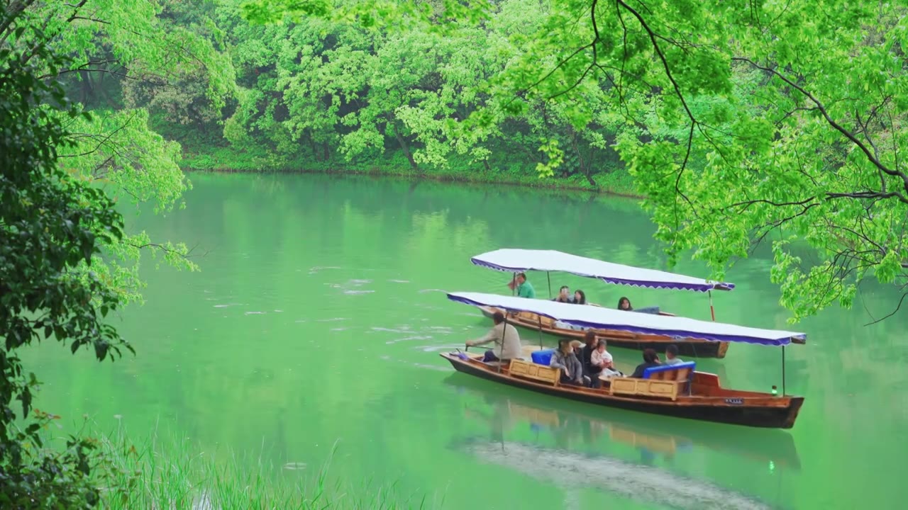 江南杭州西湖浴鹄湾春天阴雨天春雨中的手划船自然治愈风景视频素材