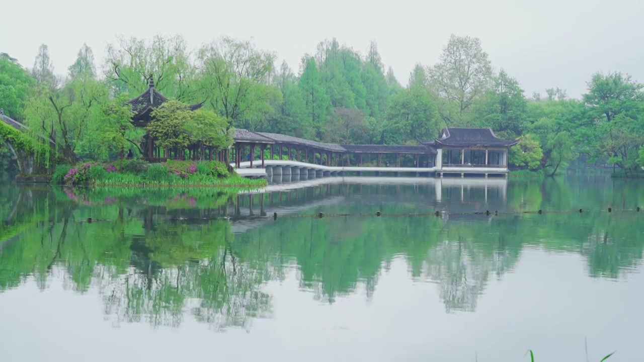 江南杭州西湖浴鹄湾霁虹桥春天阴雨天春雨中的自然治愈风景视频素材