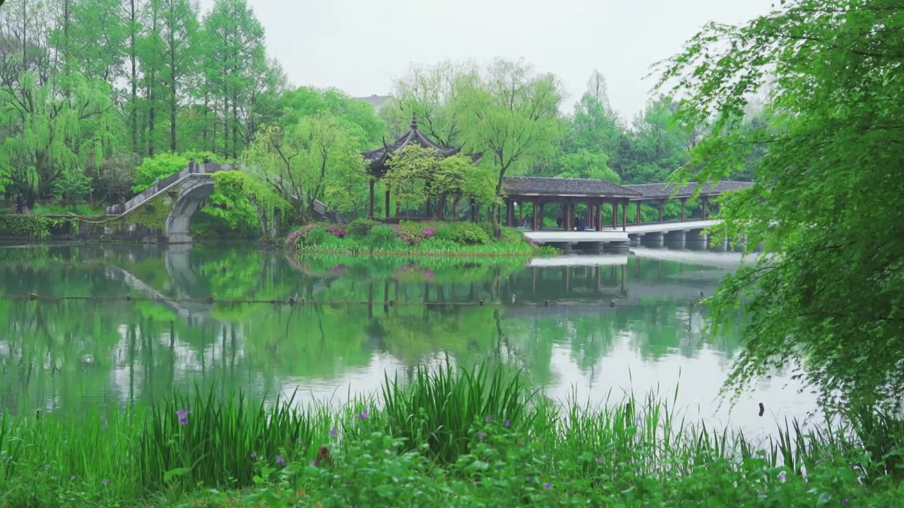 江南杭州西湖浴鹄湾霁虹桥春天阴雨天春雨中的自然治愈风景视频素材