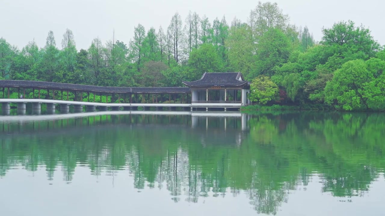 江南杭州西湖浴鹄湾霁虹桥春天阴雨天春雨中的自然治愈风景视频素材