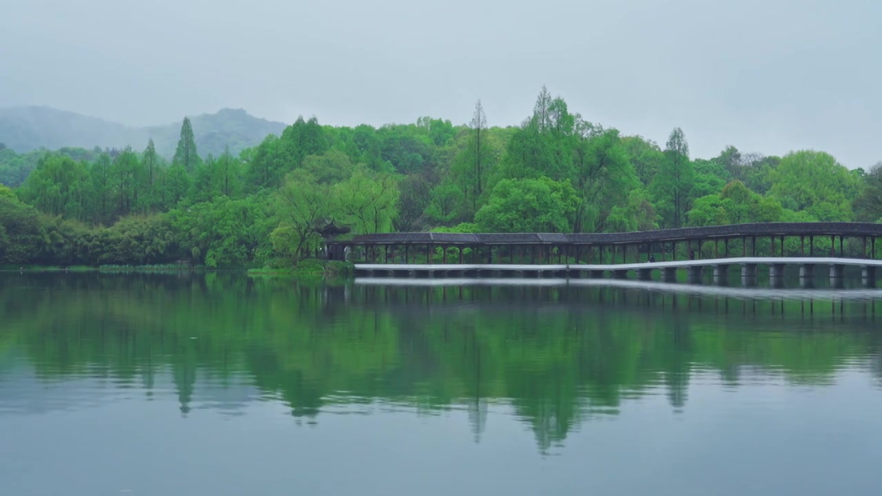 江南杭州西湖浴鹄湾霁虹桥春天阴雨天春雨中的自然治愈风景视频素材