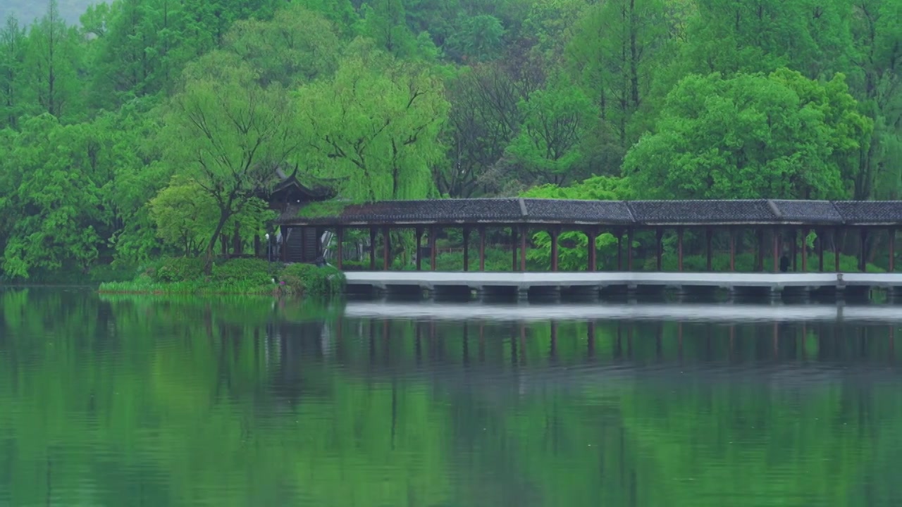 江南杭州西湖浴鹄湾霁虹桥春天阴雨天春雨中的自然治愈风景视频素材