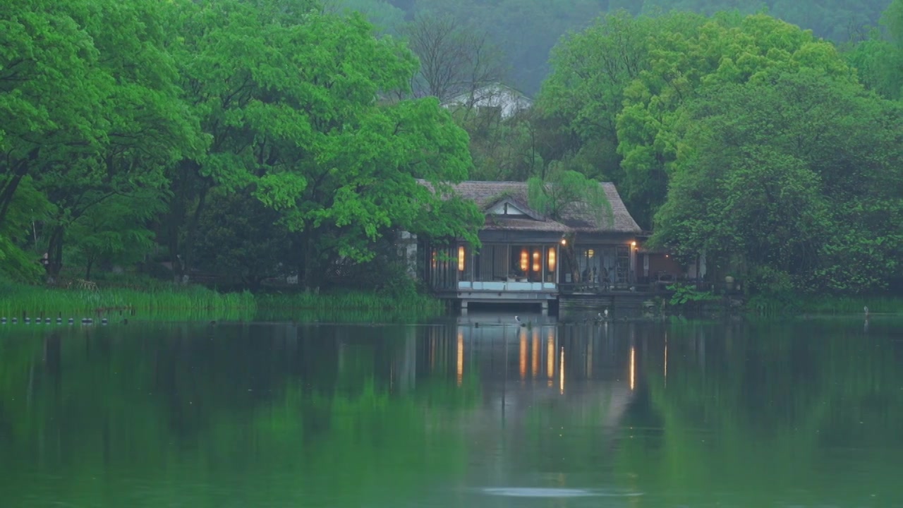 江南杭州西湖浴鹄湾春天阴雨天春雨中的自然治愈风景视频素材