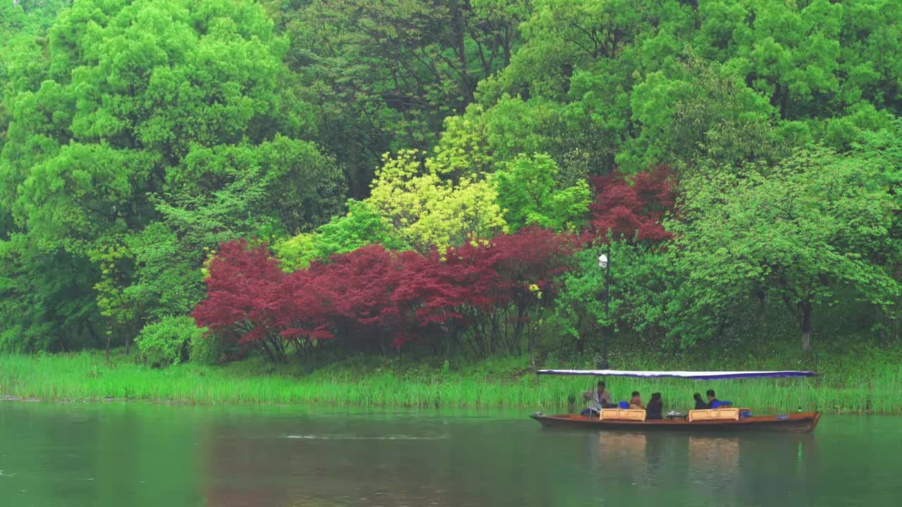 【合集】江南杭州西湖浴鹄湾春天阴雨天春雨中的手划船自然治愈风景视频素材