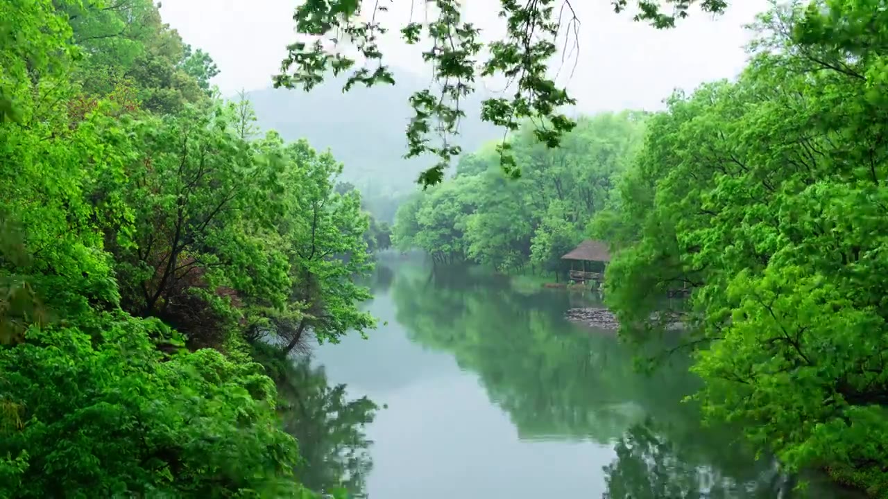 【合集】江南杭州西湖浴鹄湾春天清新摇橹船自然风景延时视频素材