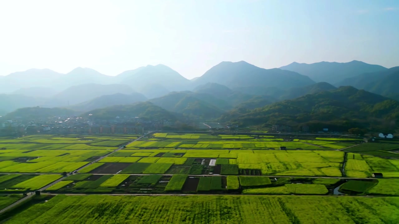 杭州富阳包家淇村油菜花田视频素材