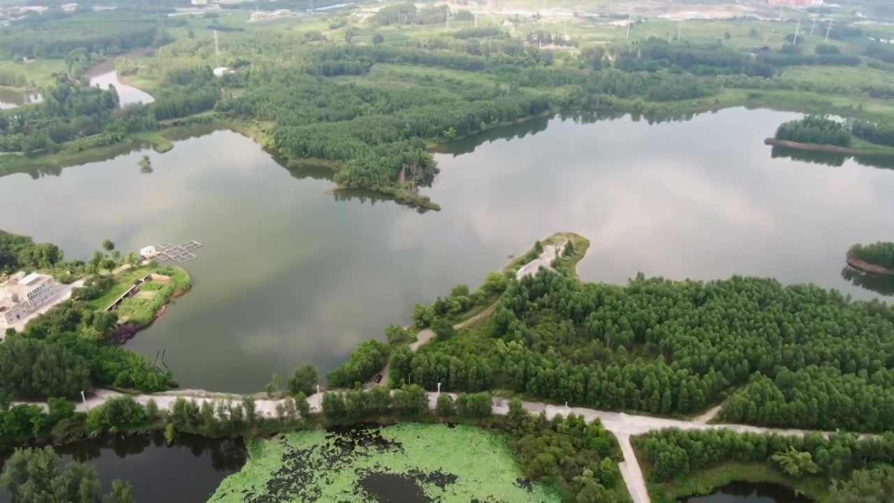 阿什河国家湿地公园视频下载