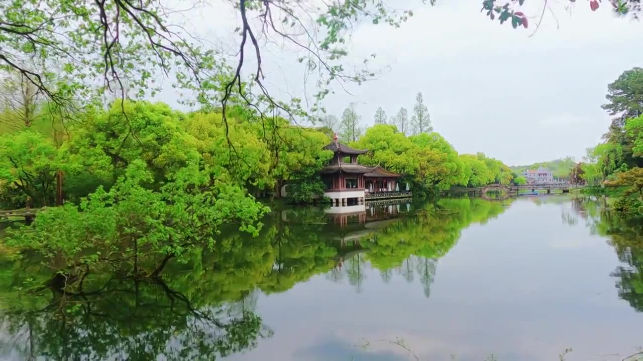 杭州西湖曲院风荷春天自然风景视频素材