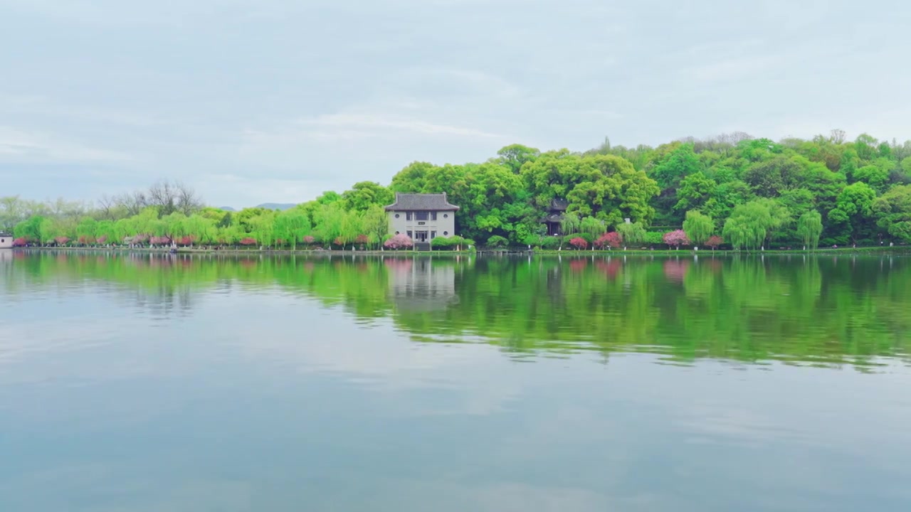 杭州西湖孤山公园春天绿色清新自然风景视频素材