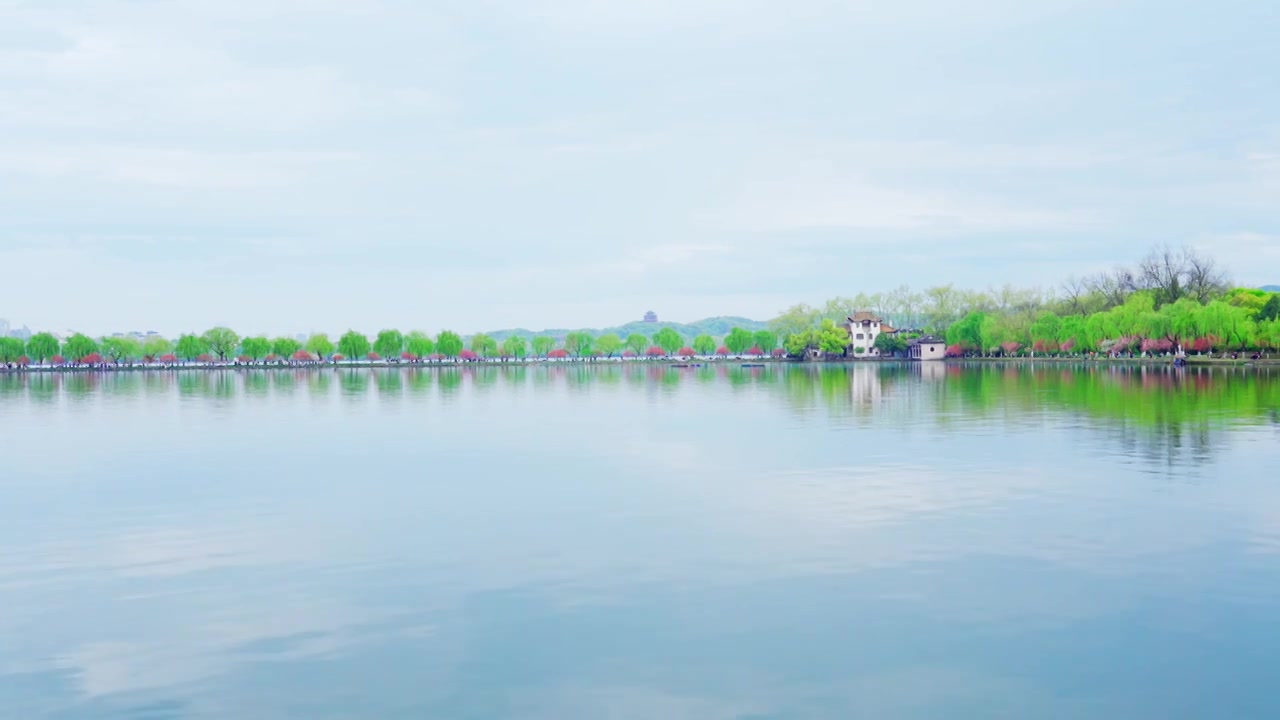 杭州西湖孤山公园春天绿色清新自然风景视频素材