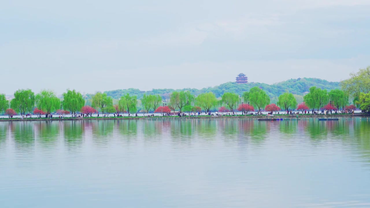 杭州西湖白堤断桥江南春天桃红柳绿自然治愈风景视频素材