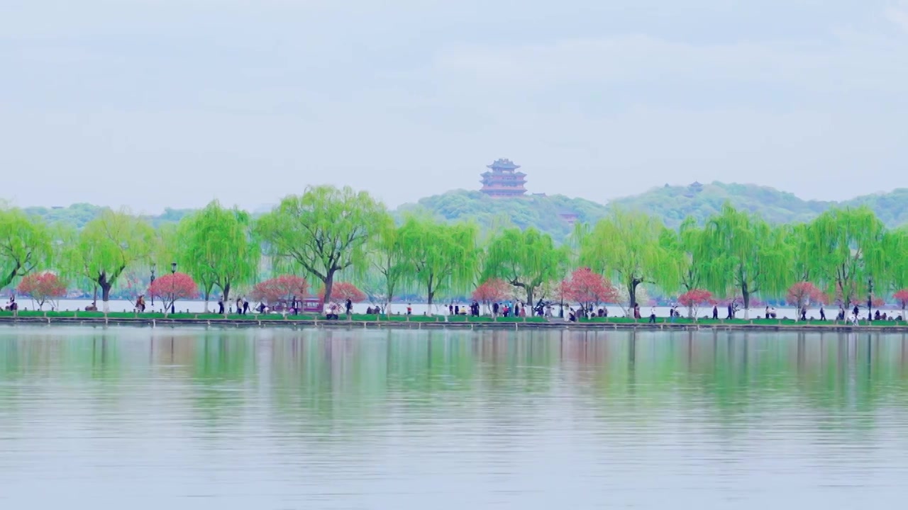 杭州西湖白堤断桥江南春天桃红柳绿自然治愈风景视频素材