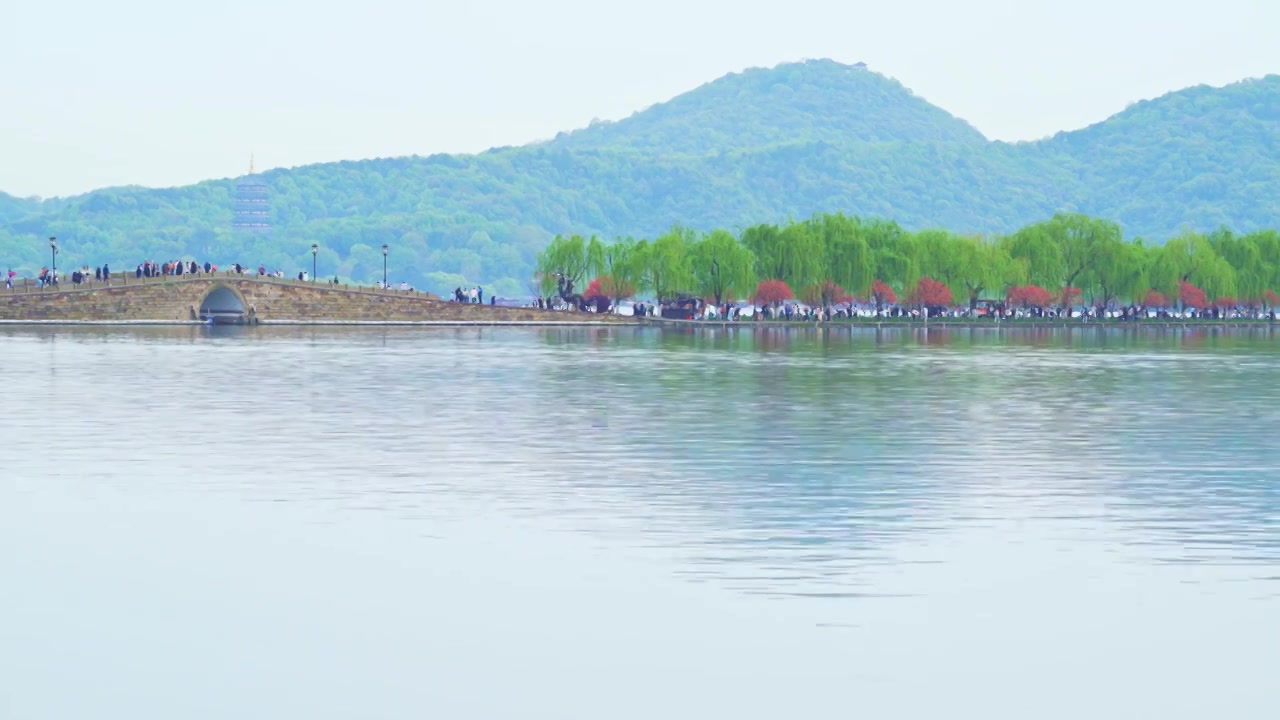 杭州西湖白堤断桥江南春天桃红柳绿自然治愈风景视频素材