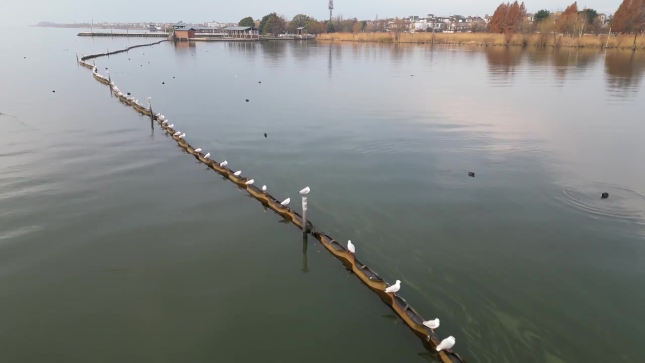 大理洱海视频素材