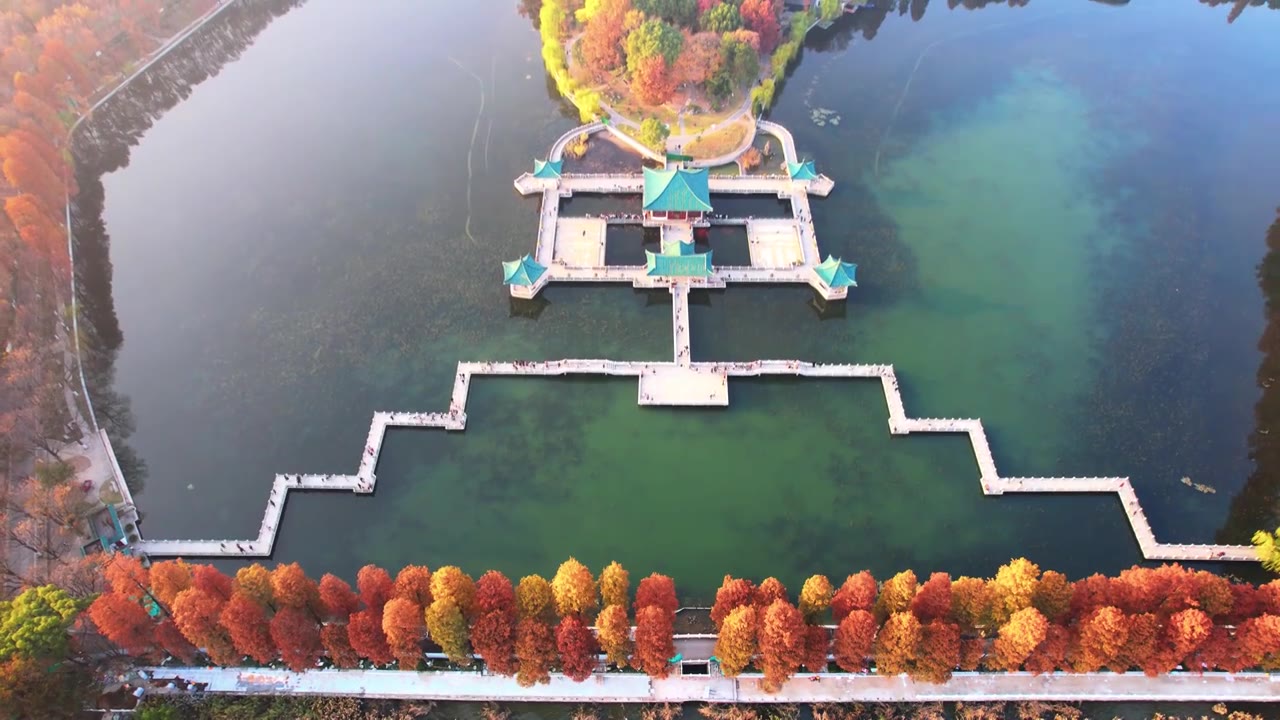 航拍武汉秋天5A级旅游东湖绿道景区自然湖景视频素材