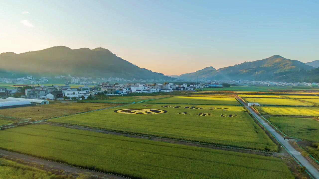 清晨一缕阳光照射在五粮液乡村振兴专用粮基地视频下载