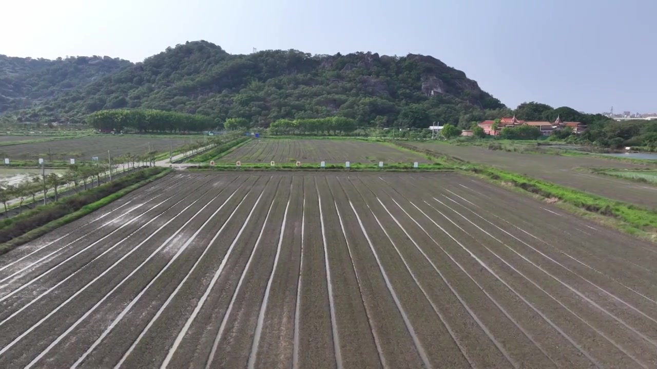 田地视频素材