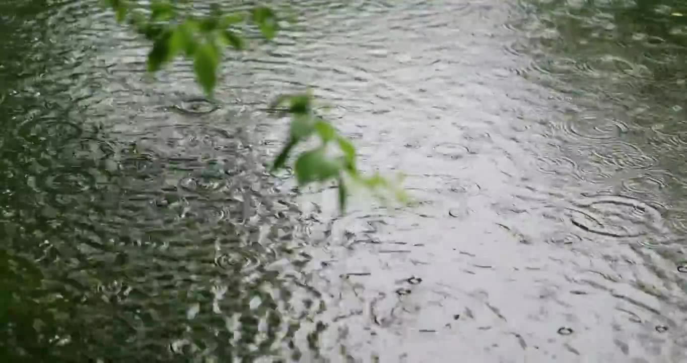 雨水雨滴落在湖面溅起水花波纹视频素材