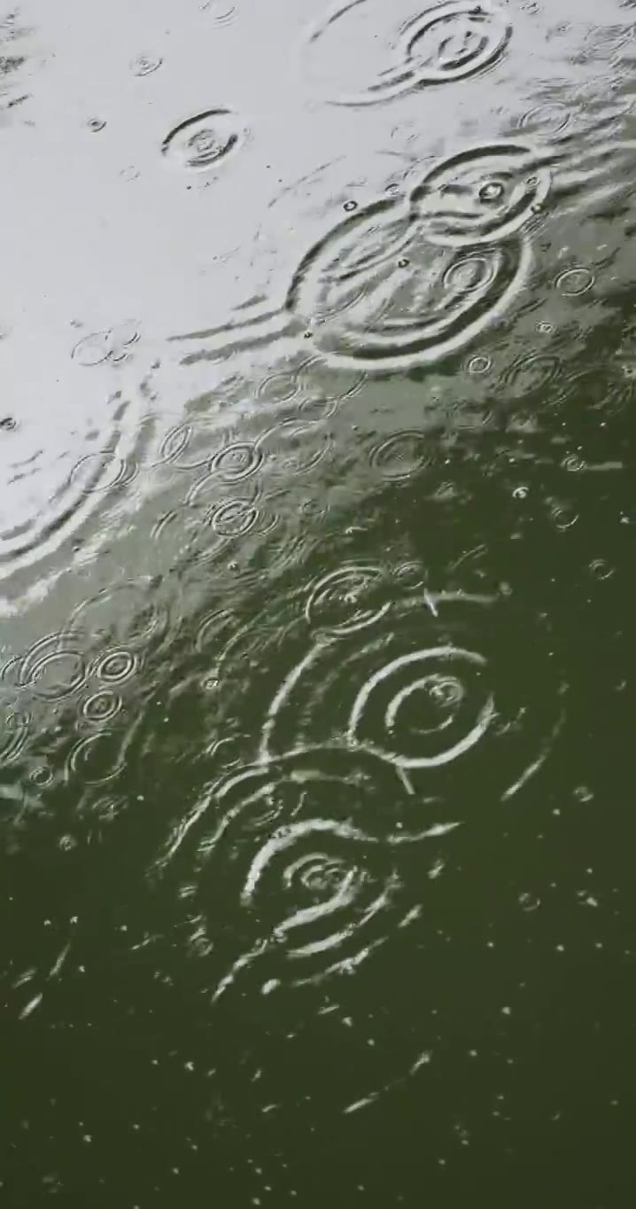 雨水雨滴落在湖面溅起水花波纹竖版竖屏视频素材