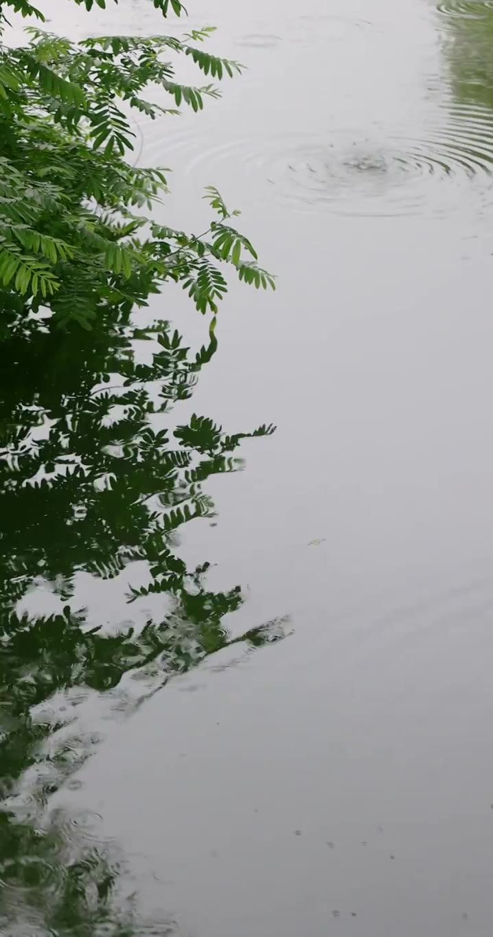 雨水雨滴落在湖面溅起水花波纹竖版竖屏视频素材